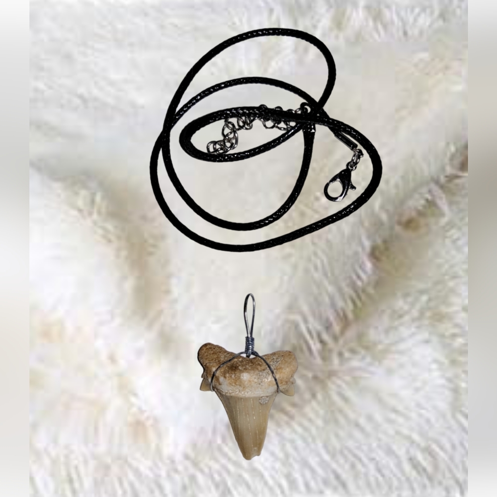 Fossilized Shark Tooth Pendant and Black Cord Leather Necklace